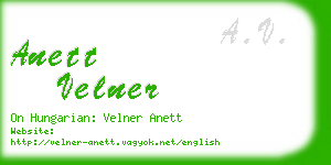 anett velner business card